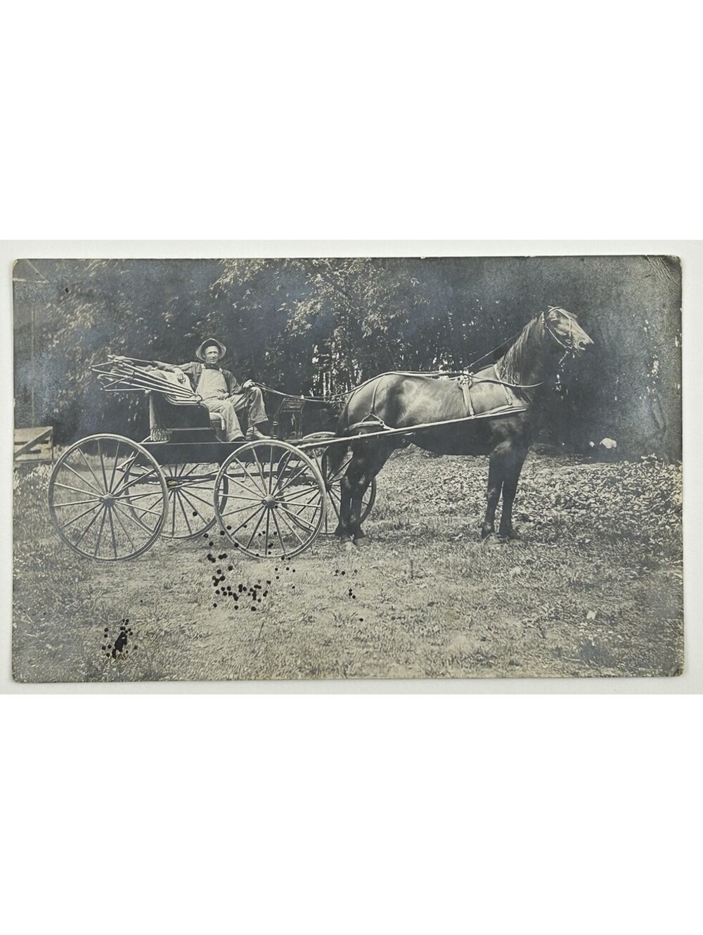 Antique RPPC Postcard Man in Horse Drawn Buggy Carriage Early 1900s Vintage E-12